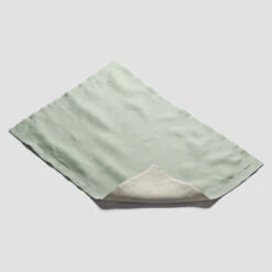 Front Page 5 Sage Green Linen Placemat Set Of 4